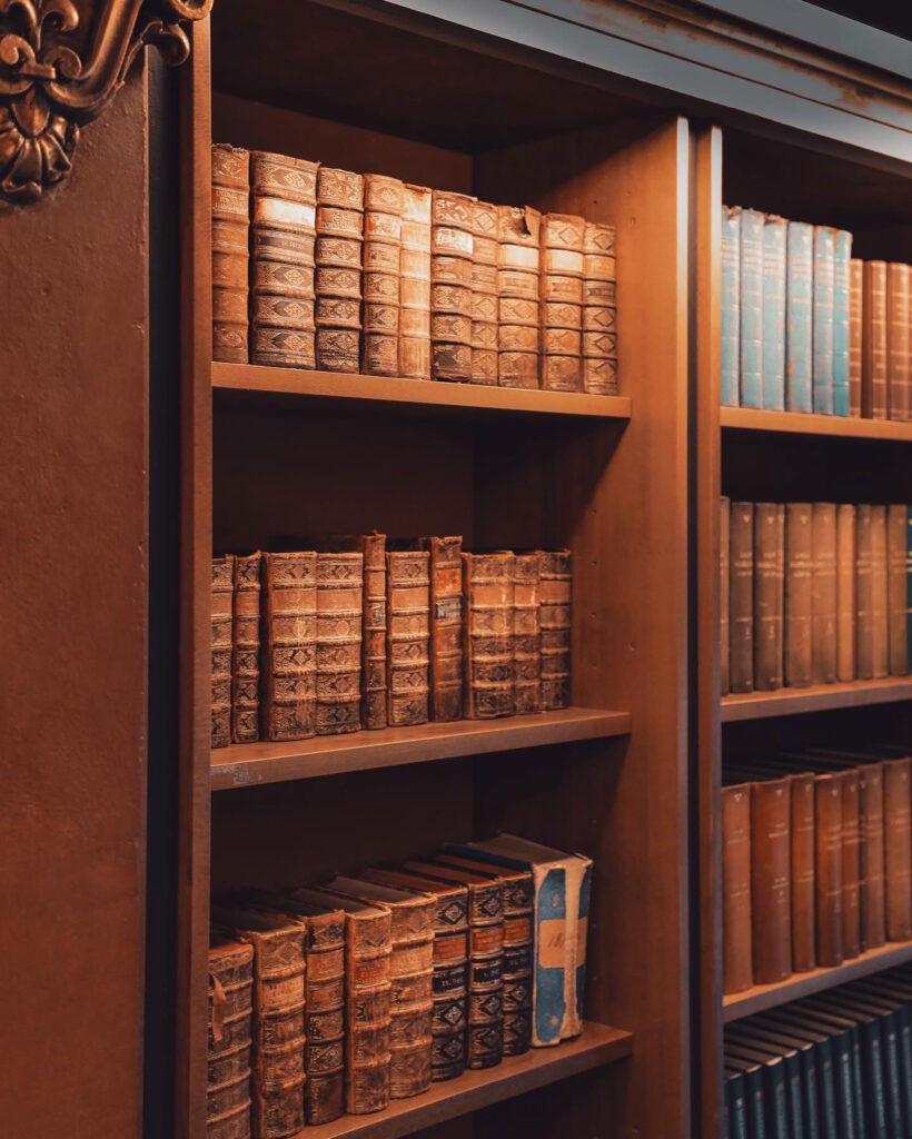 bookshelves in one of the most beautiful libraries in Europe