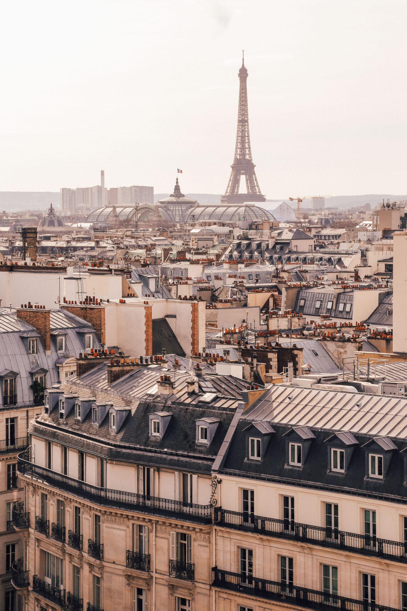 Is Paris Worth Visiting for Book Lovers? Inside the Real Atmosphere of Literary Paris