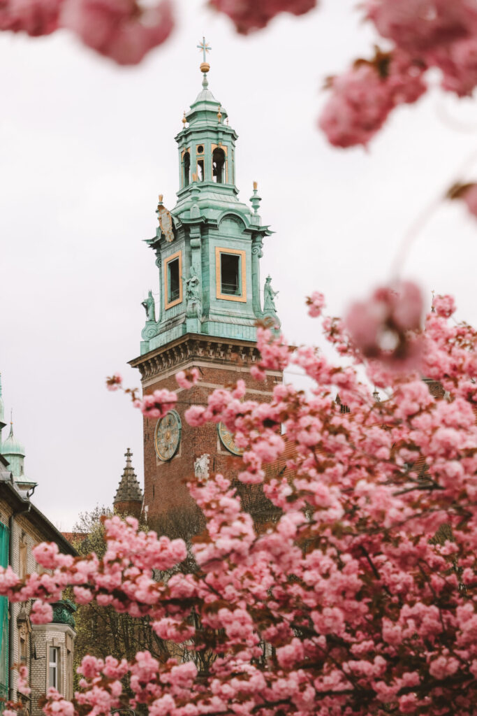 Krakau, UNESCO City of Literature