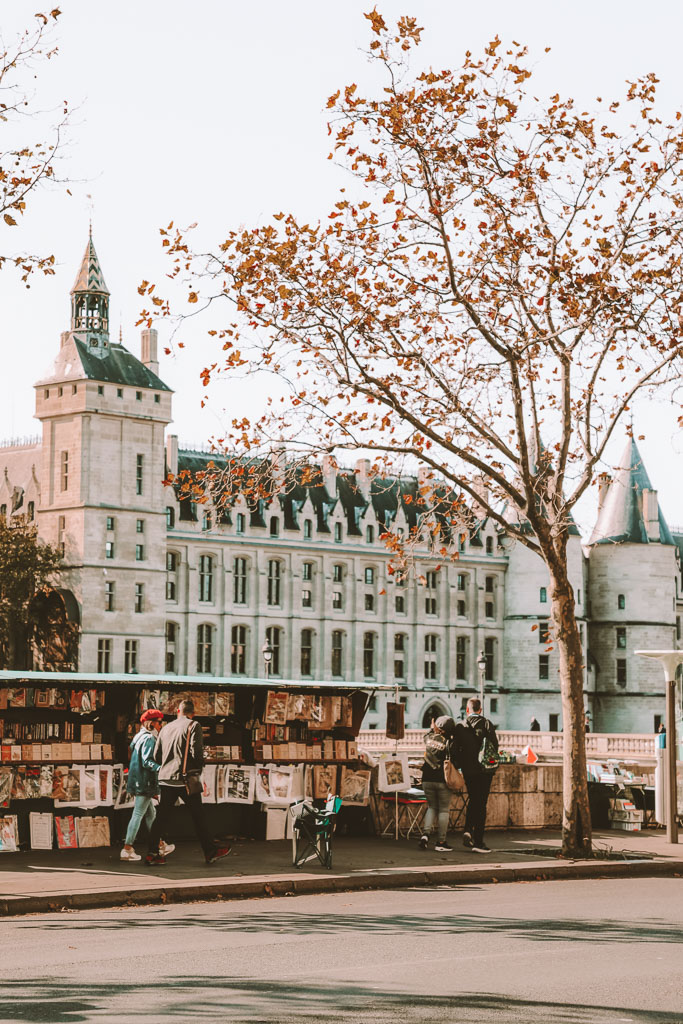 The Most Beautiful Bookshops in Europe to Visit This Autumn